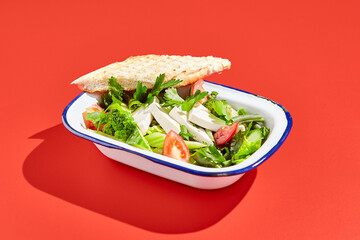 Vegetarian green salad on trendy red background with hard shadow. Green bowl with vegetables and tofu in minimal style. Contemporary food menu. Healthy food in modern concept.