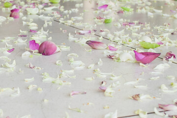 Wedding aisle with flower petals