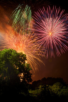 Fireworks exploding over the tree tops in a rainbow of colors and shapes