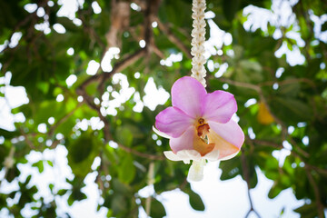 Floral arrangement at a wedding ceremony on beach.