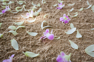 Floral arrangement at a wedding ceremony on beach.