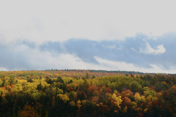 Fototapeta premium Maine 