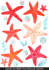 Fototapeta na wymiar Starfish,Bubble pearl and seaweed watercolor illustration for decoration on summer holiday and marine life.