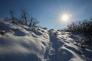 snow hike