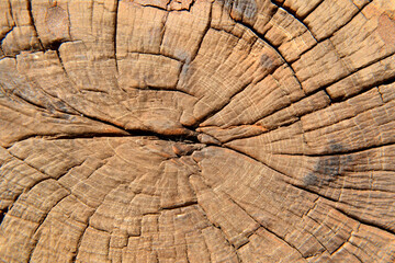 Fototapeta premium old wooden background