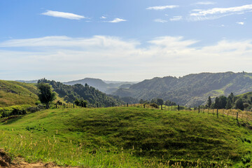 Nature green hills with blue sky in New Zealand