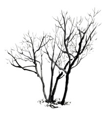 水墨画技法で描いた冬の樹