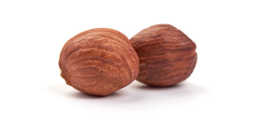 Hazelnut heap, isolated on white background.