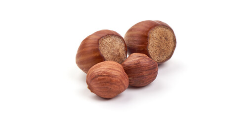 Fresh organic hazelnut, isolated on white background.