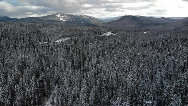 High Altitude Aerial Dolly over Mt Hood National Forest in winter, Oregon USA