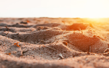 Beach at sunrise or sunset, close-up, selective focus. Outdoor sand and sunlight, low angle view