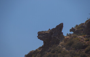 Rock on a cliff shaped like a dog's head