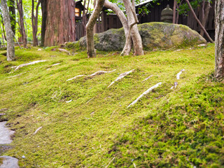 和の雰囲気を重んじる美しい日本庭園