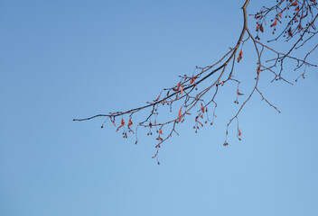 A beautiful winter day landscape of rural area. Snowy scenery of Northern Europe.