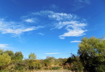 Obraz premium Green forest, blue sky and clouds 