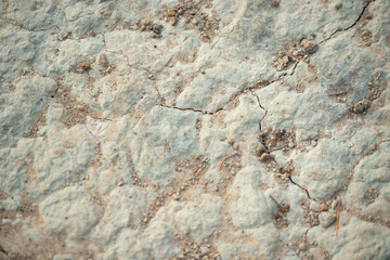 dry ground in summer, dry ground background