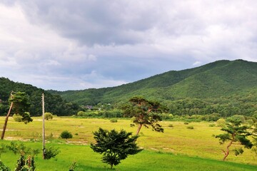 Fototapeta na wymiar view of countryside with mountains