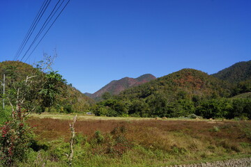 タイ・パーイ郊外の風景