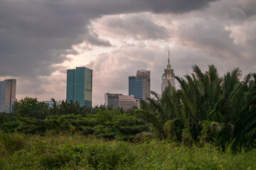Fototapeta na wymiar Picture of skyscrapers at sunset in the park with green grass and trees. View in metropolis with modern buildings. High quality photo