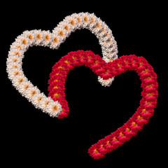 Floral Symbol Of United Hearts. Two halves of hearts framed by red and white flower buds, joined together, isolated on a black background