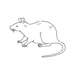 Rat vector doodle animal of Eastern astrological calendar black outline on white background.