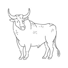 Bull vector doodle animal of Eastern astrological calendar black outline on white background.