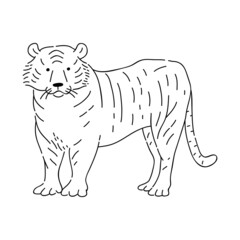 Tiger vector doodle animal of Eastern astrological calendar black outline on white background.