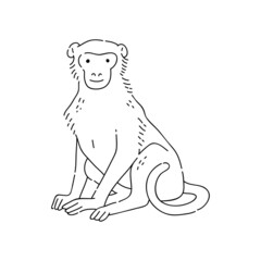 Monkey vector doodle animal of Eastern astrological calendar black outline on white background.