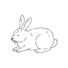 Rabbit vector doodle animal of Eastern astrological calendar black outline on white background.