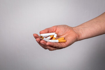 Broken pile of cigarettes in a woman's hand. Quit smoking
