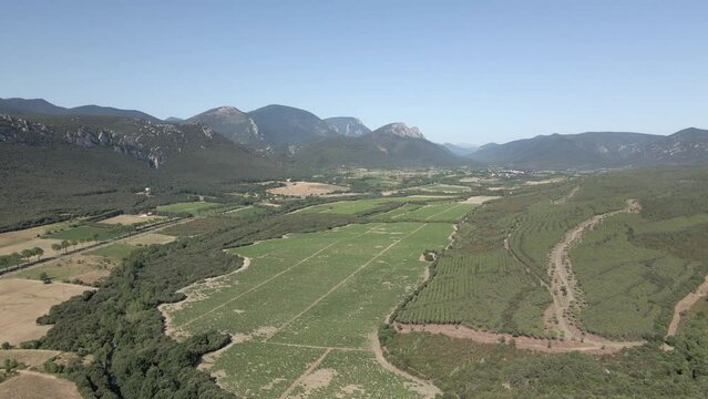 Huge vineyards fill green Pyrenees-Orientales valley in SW France