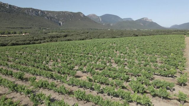 Aerial: Rolling hills in French Pyrenees are home to large vineyards