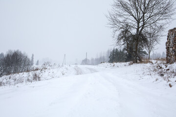 Snowstorm, frost and cold. Snowy fields, roads and trees
