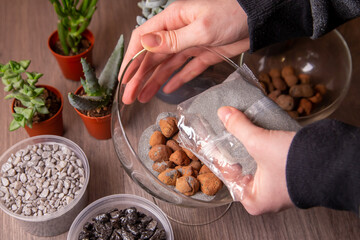 The girl is engaged in transplanting succulents in a glass florarium. Hobbies, home flowers.