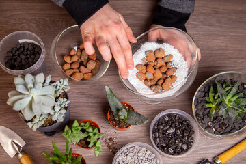 The girl is engaged in transplanting succulents in a glass florarium. Hobbies, home flowers.