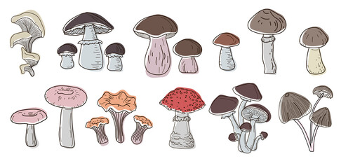 Set of mushrooms in the colors of boho- boletus, oyster mushrooms, porcini mushrooms, russula, toadstools, fly agaric, chanterelles, honey mushrooms, drawn in a doodle style. Vector