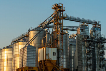 Fototapeta na wymiar A large modern plant located near a wheat field for the storage and processing of grain crops. view of the granary illuminated by the light of the setting sun against the blue sky. harvest season.