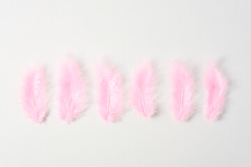 six pink feathers in row on white background, top view