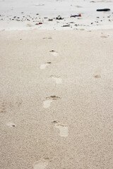 footprints on the beach