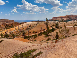 Fototapeta na wymiar Hiking deep into Bryce Canyon and looking up adds wonderment to the natural beauty surrounding this traveler