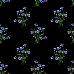 Knapweed flowers on black background