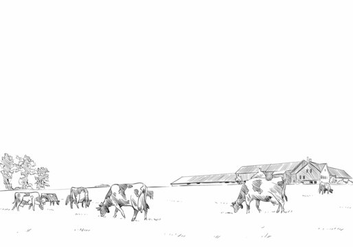 Farm sketch vector illustration.Hand drawn rural landscape.