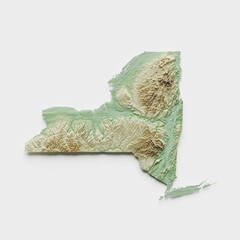 New York Topographic Relief Map  - 3D Render