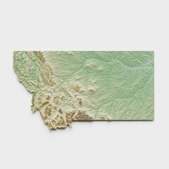 Montana Topographic Relief Map  - 3D Render