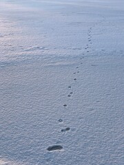 footprints in snow