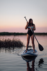 Middle age lady standing on blue sup board neat reeds holding oar in hands on lake looking away...