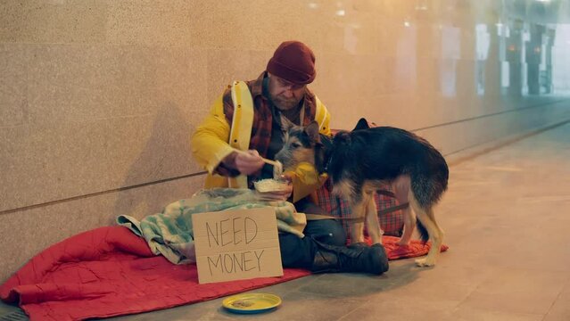 A vagrant man is feeding his dog while sitting on the ground