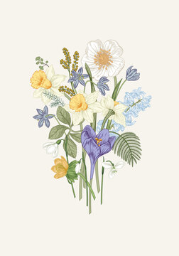 Spring flowers. Blooming  garden. Vector illustration.