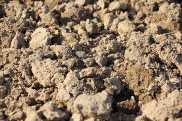 Soil, cultivated mud, earth, earth, brown ground background. Organic gardening, agriculture. Ecological texture, template