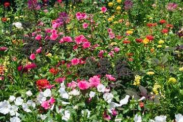 Colorful flower garden in spring